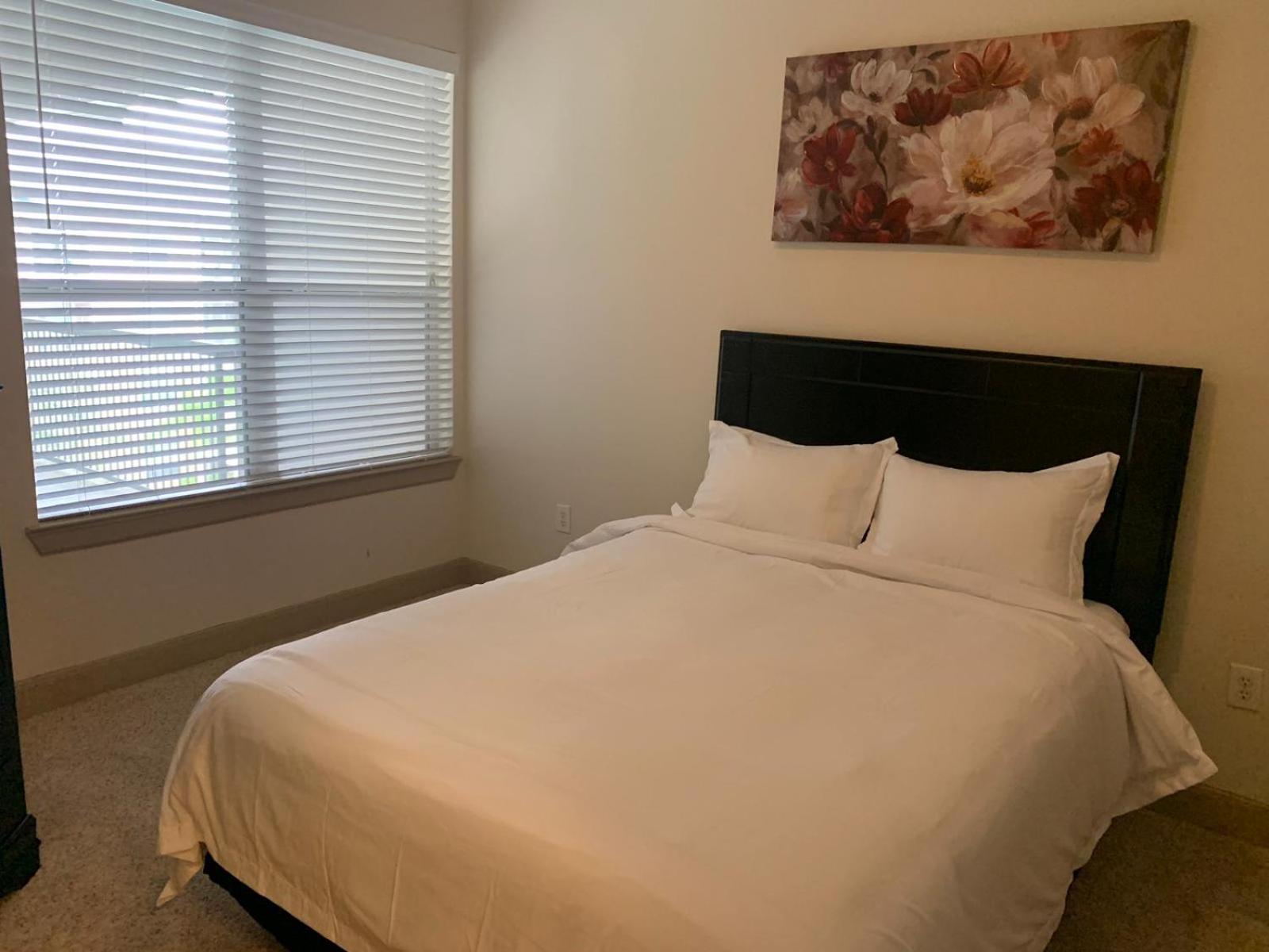 יוסטון Gorgeous Furnished Apartments Near Texas Medical Center & Nrg Stadium חדר תמונה