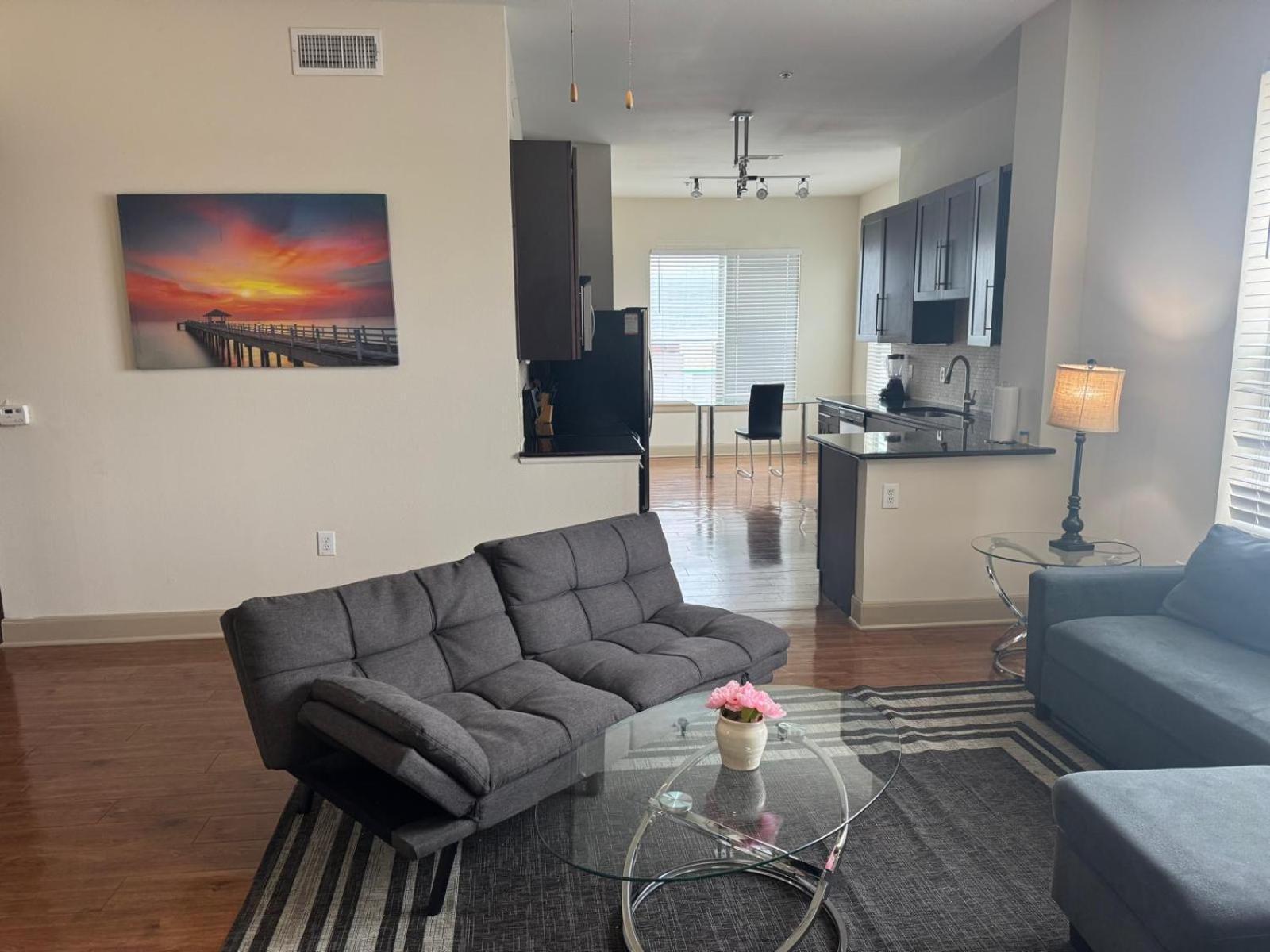 יוסטון Gorgeous Furnished Apartments Near Texas Medical Center & Nrg Stadium חדר תמונה